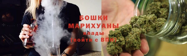 сатива Михайловка