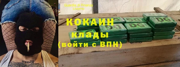 сатива Михайловка