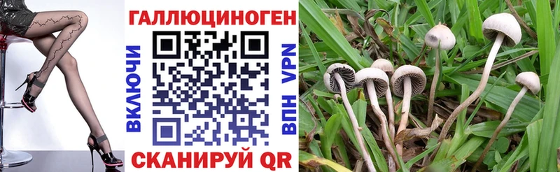 Купить закладки Карачаевск Псилоцибиновые грибы ЛСД
